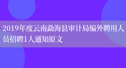 2019年度云南勐海县审计局编外聘用人员招聘1人通知原文(图1)