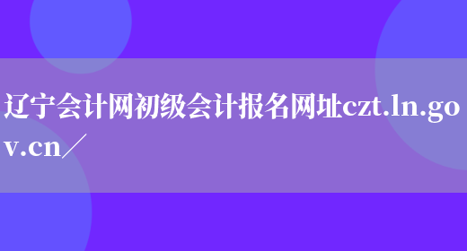 辽宁会计网初级会计报名网址czt.ln.gov.cn／(图1)