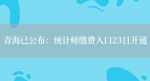 青海已公布：统计师缴费入口23日开通(图1)