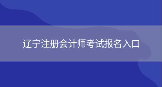 辽宁注册会计师考试报名入口(图1)