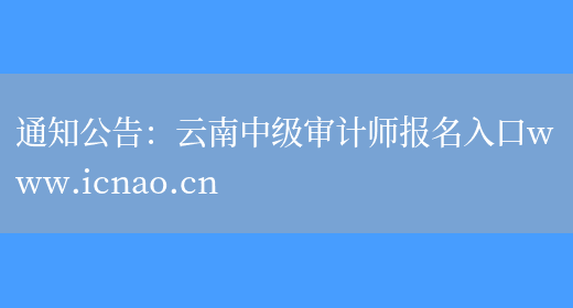 通知公告：云南中级审计师报名入口www.icnao.cn(图1)