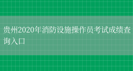 贵州2020年消防设施操作员考试成绩查询入口(图1)