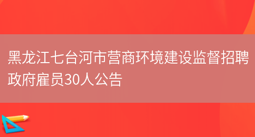 黑龙江七台河市营商环境建设监督招聘政府雇员30人公告(图1)