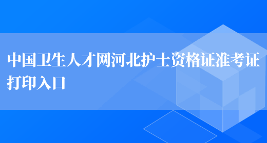 中国卫生人才网河北护士资格证准考证打印入口(图1)