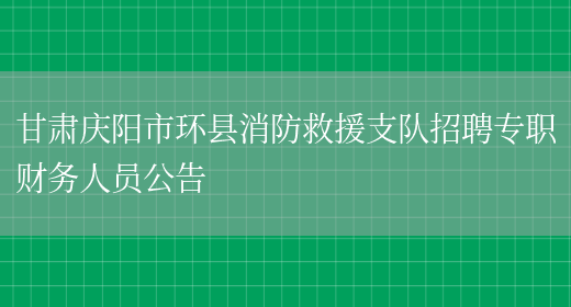 甘肃庆阳市环县消防救援支队招聘专职财务人员公告(图1)