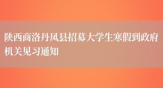 陕西商洛丹凤县招募大学生寒假到政府机关见习通知(图1)