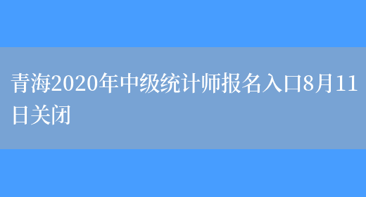 青海2020年中级统计师报名入口8月11日关闭(图1)