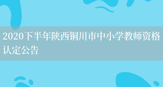 2020下半年陕西铜川市中小学教师资格认定公告(图1)
