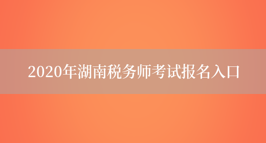 2020年湖南税务师考试报名入口(图1)