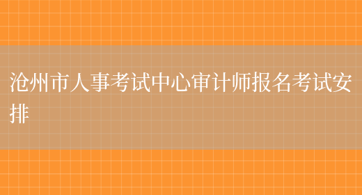 沧州市人事考试中心审计师报名考试安排(图1)