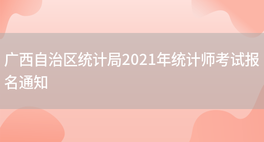 广西自治区统计局2021年统计师考试报名通知(图1)