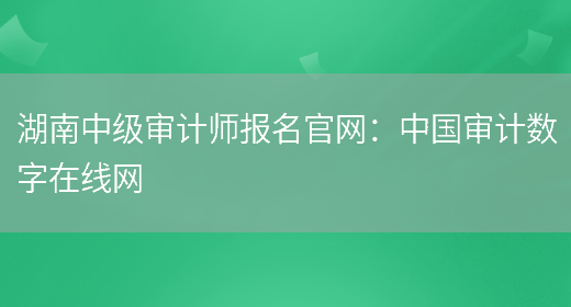 湖南中级审计师报名官网：中国审计数字在线网(图1)
