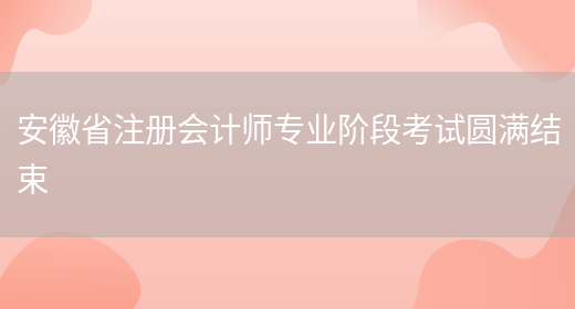 安徽省注册会计师专业阶段考试圆满结束(图1)