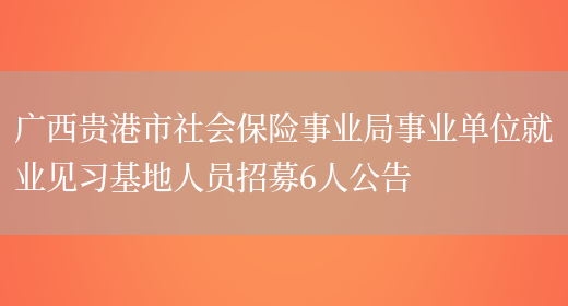 广西贵港市社会保险事业局事业单位就业见习基地人员招募6人公告(图1)