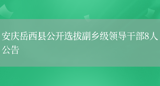 安庆岳西县公开选拔副乡级领导干部8人公告(图1)