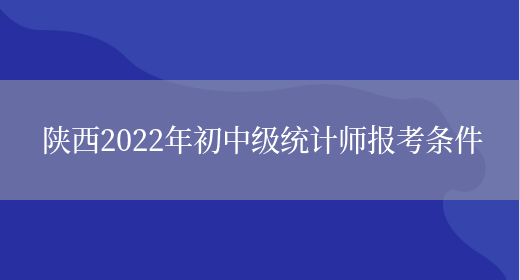 陕西2022年初中级统计师报考条件