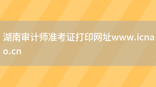 湖南审计师准考证打印网址www.icnao.cn(图1)