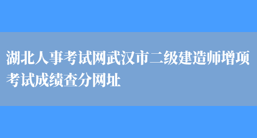 湖北人事考试网武汉市二级建造师增项考试成绩查分网址(图1)