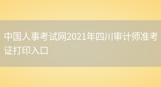 中国人事考试网2021年四川审计师准考证打印入口(图1)