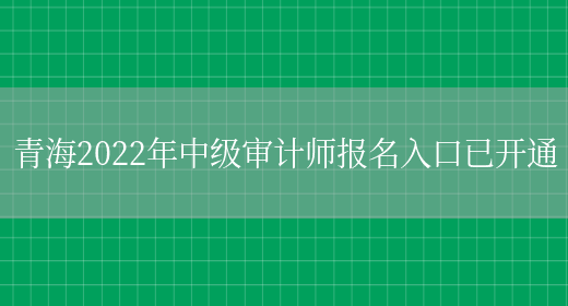 青海2022年中级审计师报名入口已开通(图1)