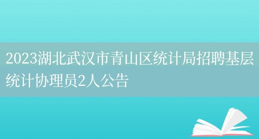 2023湖北武汉市青山区统计局招聘基层统计协理员2人公告(图1)
