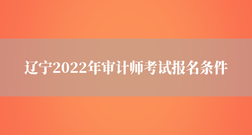 辽宁2022年审计师考试报名条件(图1)