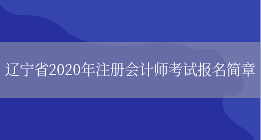 辽宁省2020年注册会计师考试报名简章(图1)
