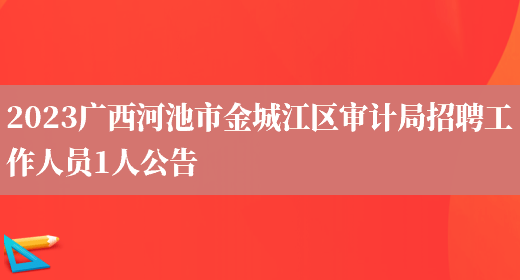 2023广西河池市金城江区审计局招聘工作人员1人公告(图1)
