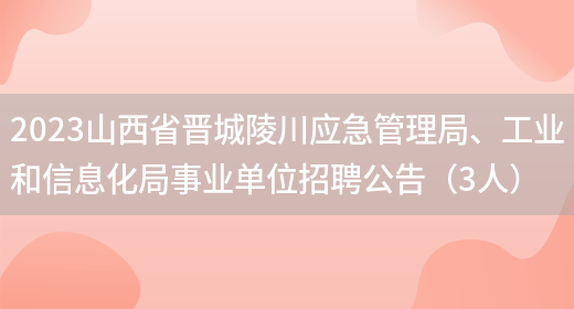 2023山西省晋城陵川应急管理局、工业和信息化局事业单位招聘公告（3人）(图1)