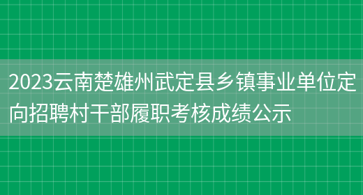 2023云南楚雄州武定县乡镇事业单位定向招聘村干部履职考核成绩公示(图1)