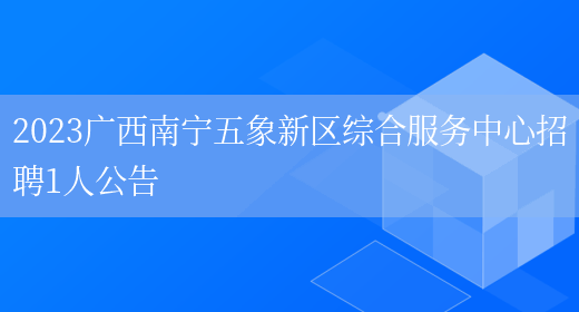 2023广西南宁五象新区综合服务中心招聘1人公告  (图1)