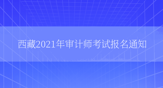 西藏2021年审计师考试报名通知